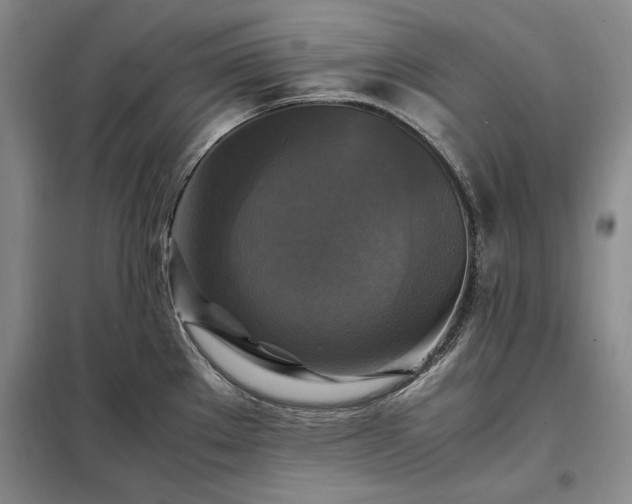 X0000098191289200805011115