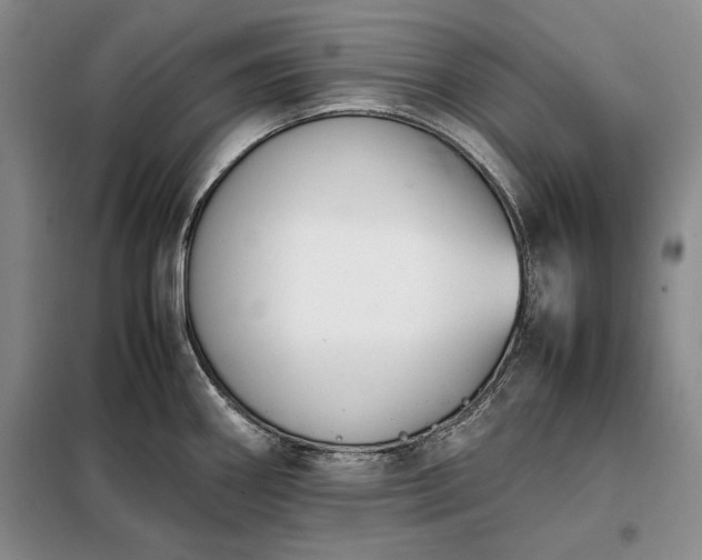 X0000098191290200805011115