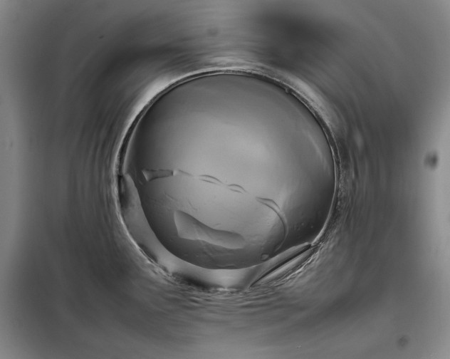 X0000098191291200805011115