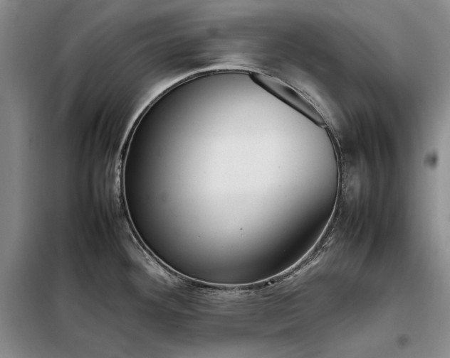 X0000098191292200805011115