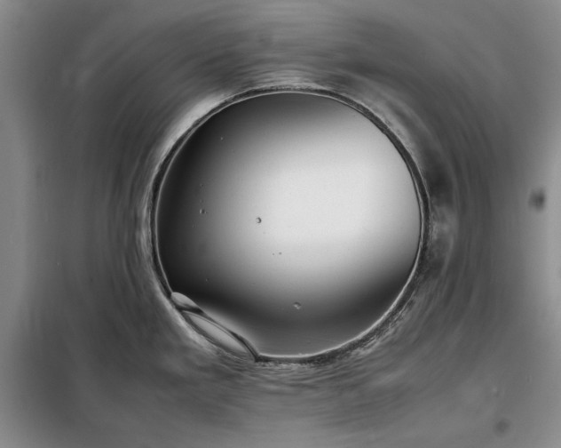 X0000098191293200805011115
