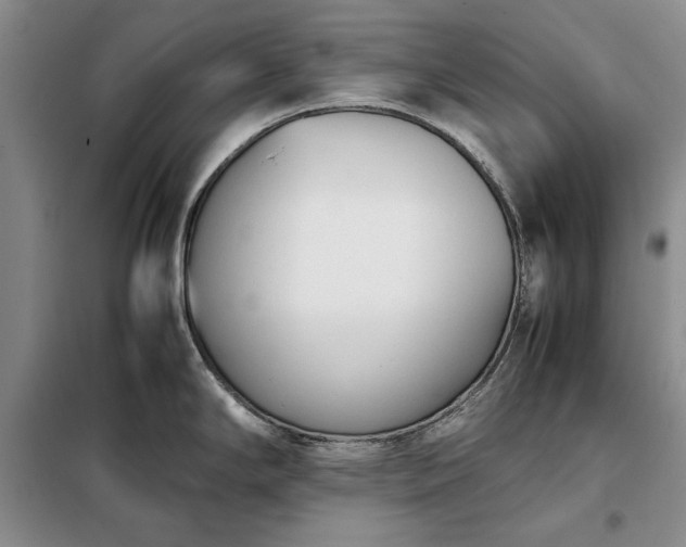 X0000098191294200805011115