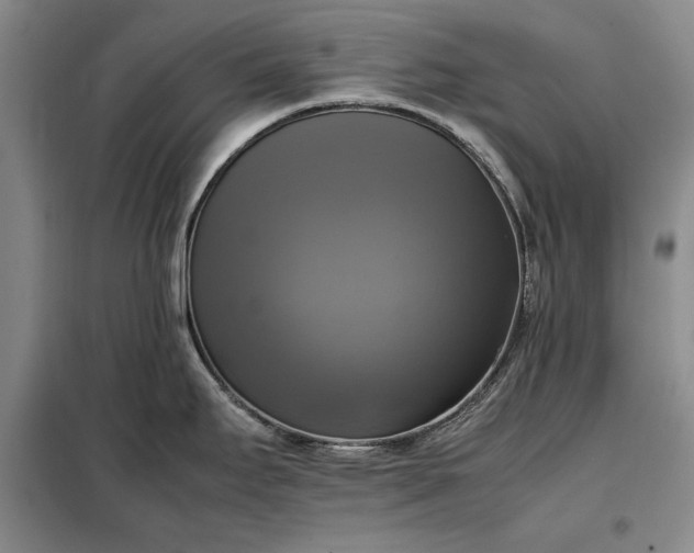 X0000098191295200805011115