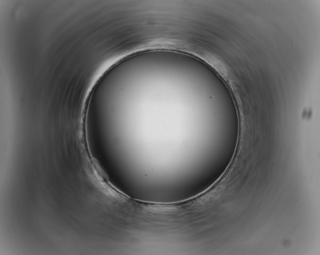 X0000098191296200805011115