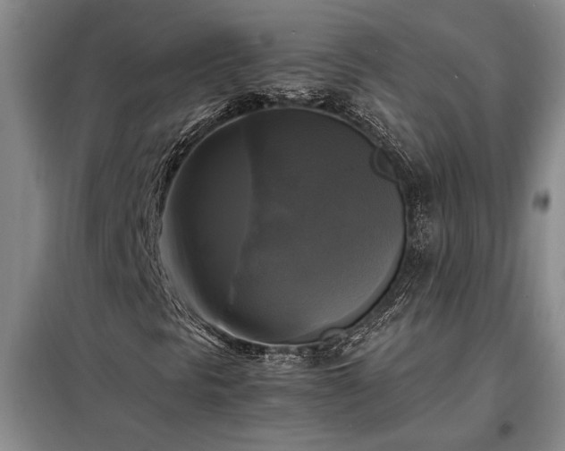 X0000098191297200805011114