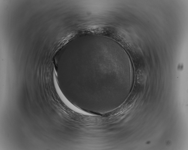 X0000098191298200805011114