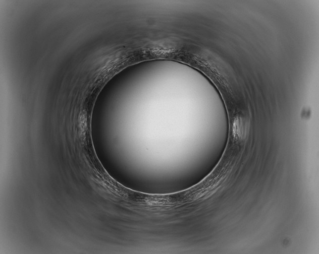 X0000098191299200805011114