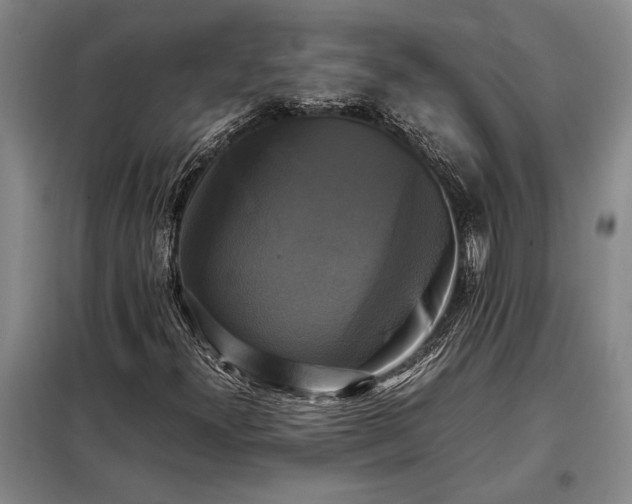 X0000098191300200805011114
