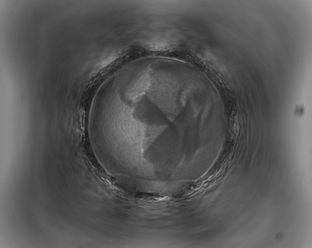 X0000098191301200805011114