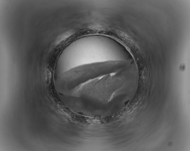 X0000098191302200805011114