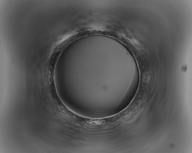 X0000098191303200805011114