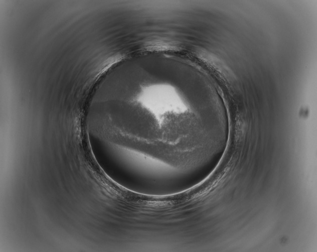 X0000098191305200805011114