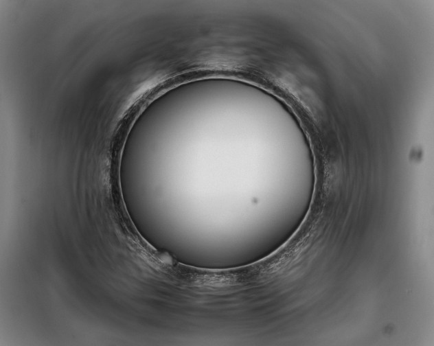 X0000098191307200805011114