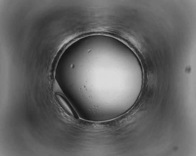 X0000098191308200805011114