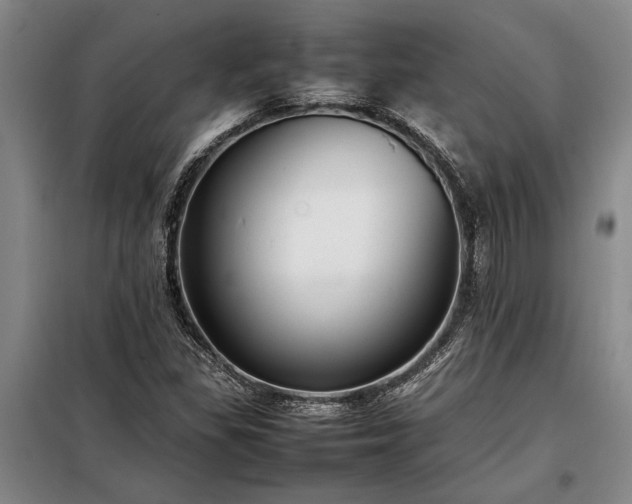 X0000098191309200805011114