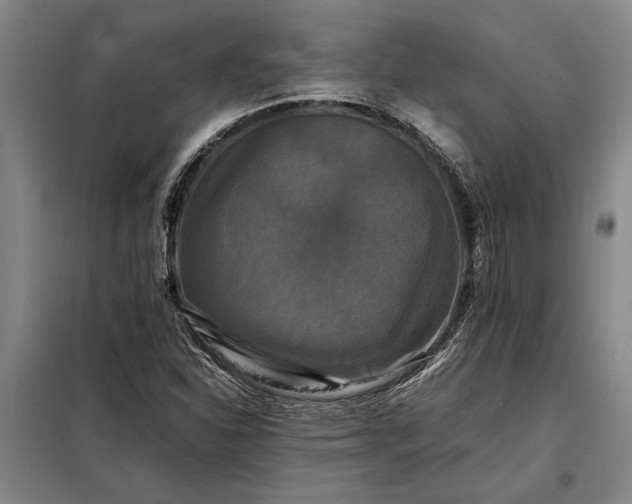 X0000098191310200805011114