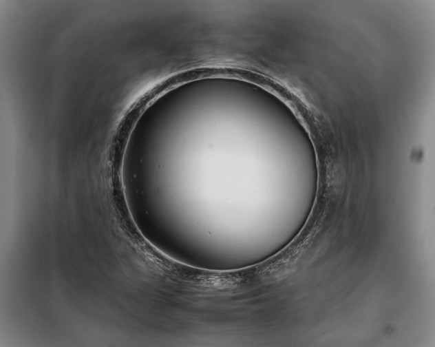 X0000098191311200805011114