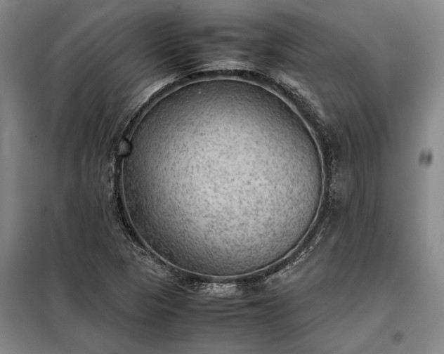 X0000098191313200805011114