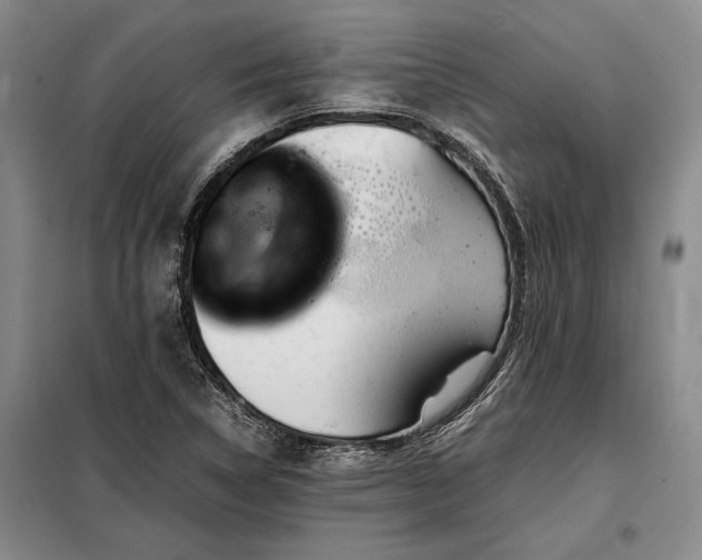 X0000098191314200805011114