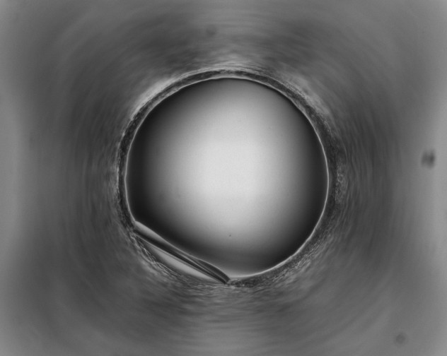 X0000098191316200805011114