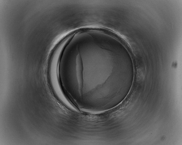 X0000098191319200805011115