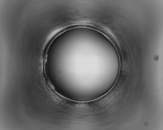 X0000098191320200805011115