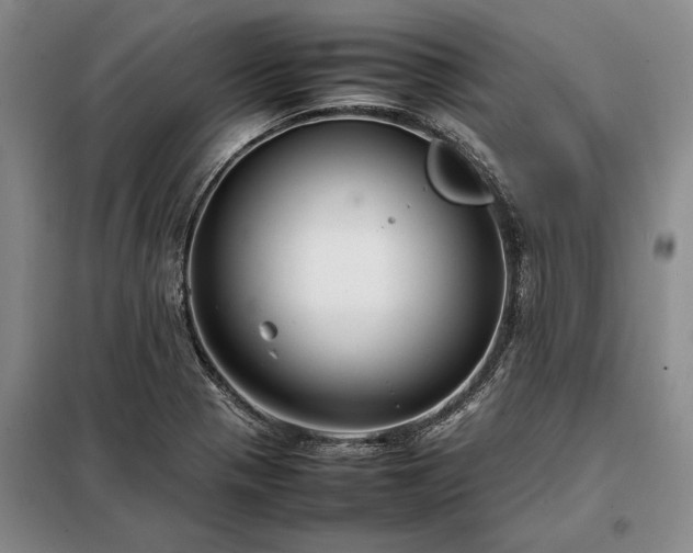 X0000098191321200805011115