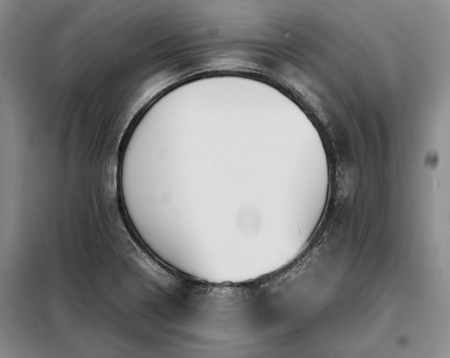 X0000098191322200805011115