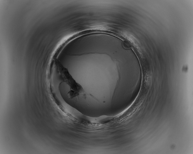 X0000098191323200805011115