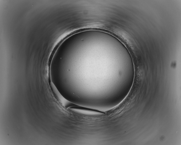 X0000098191324200805011115