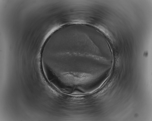 X0000098191325200805011115