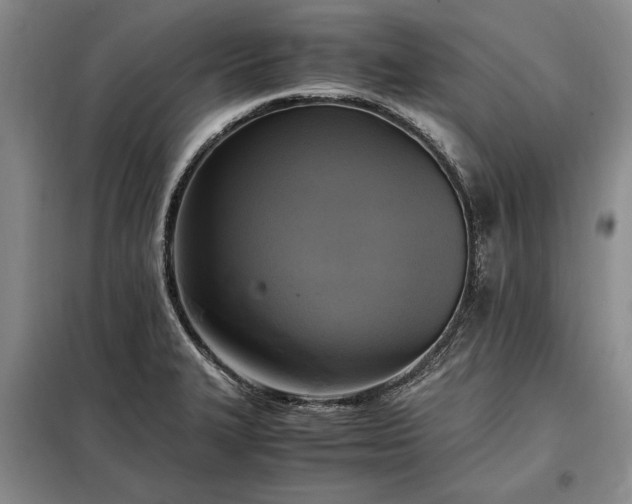 X0000098191327200805011115