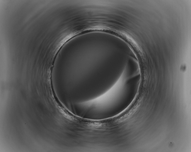 X0000098191329200805011115