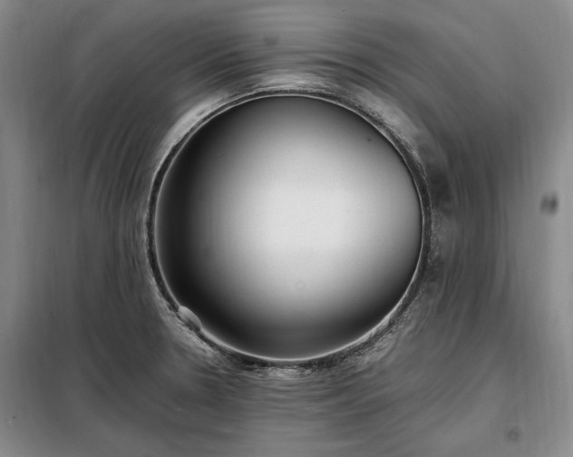 X0000098191330200805011115