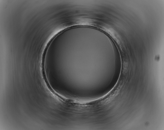 X0000098191331200805011115