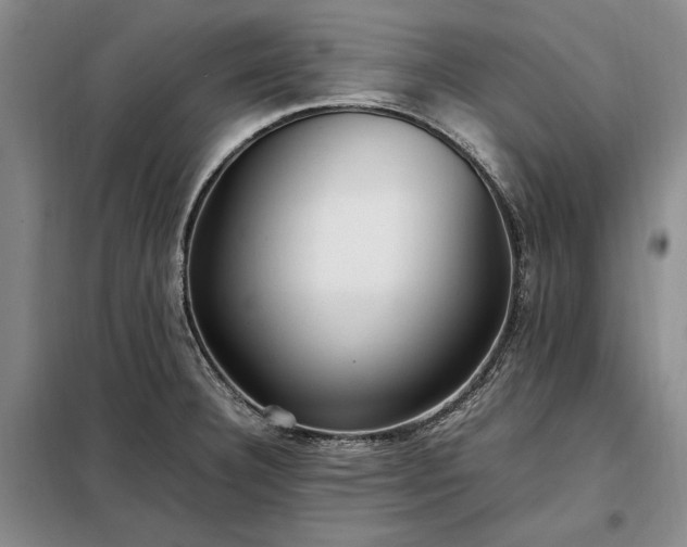 X0000098191332200805011115