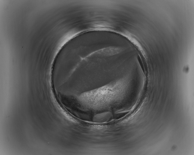 X0000098191333200805011115