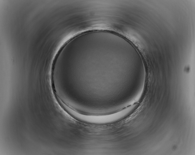 X0000098191334200805011115