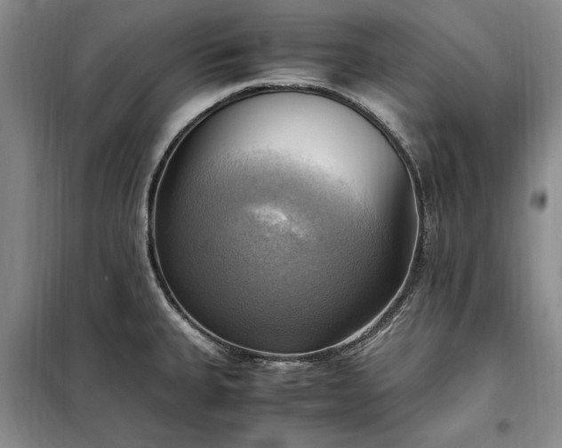 X0000098191335200805011115