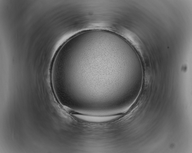 X0000098191336200805011115
