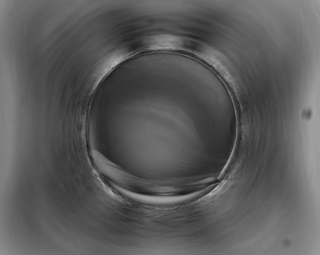 X0000098191337200805011115