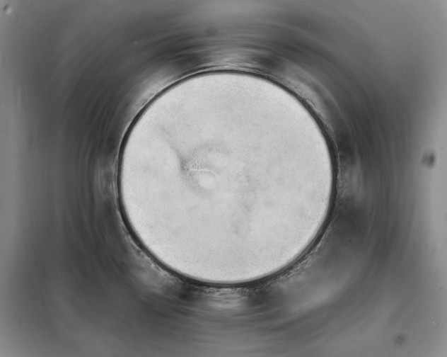 X0000098191338200805011115