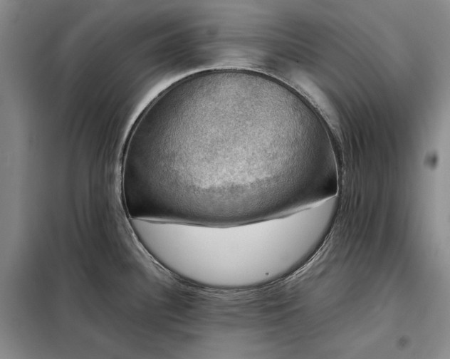 X0000098191340200805011115