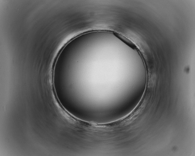 X0000098191342200805011115