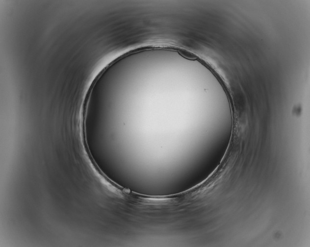 X0000098191343200805011115