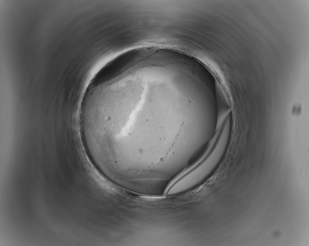 X0000098191344200805011115
