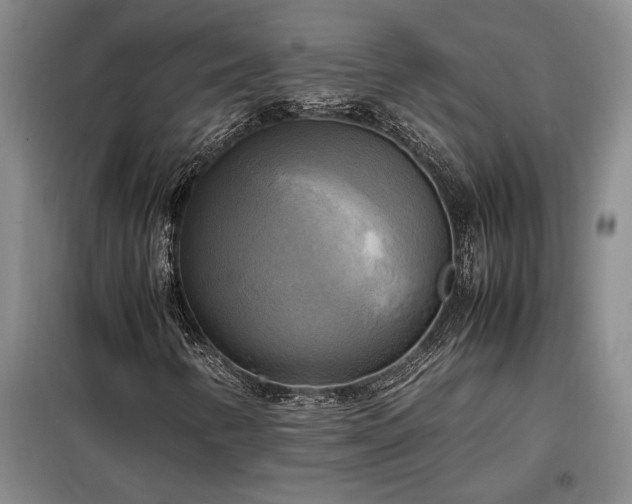 X0000098191346200805011114