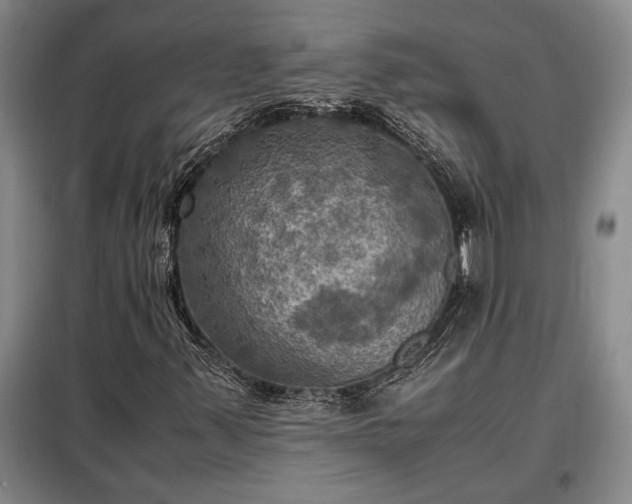 X0000098191347200805011114