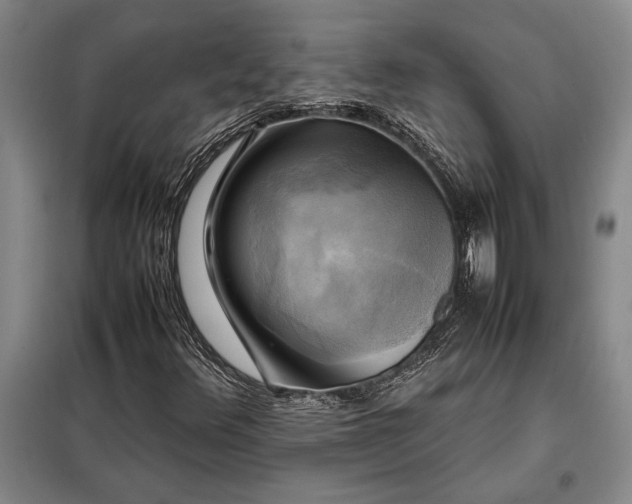 X0000098191348200805011114
