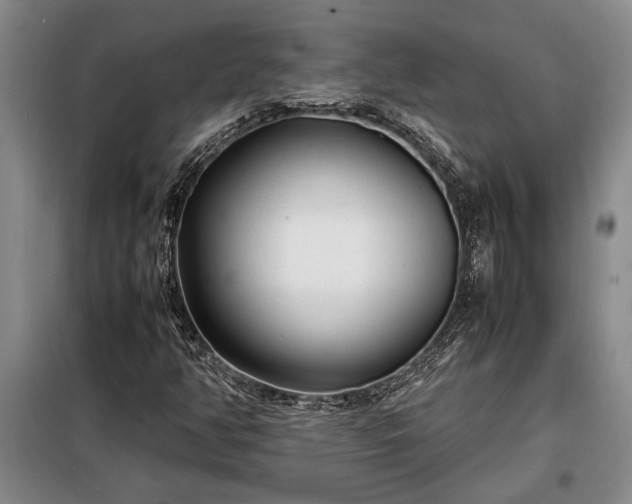 X0000098191350200805011114
